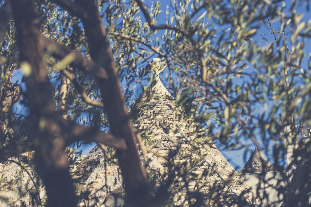 Вілла Residenze Nei Trulli Альберобелло Екстер'єр фото